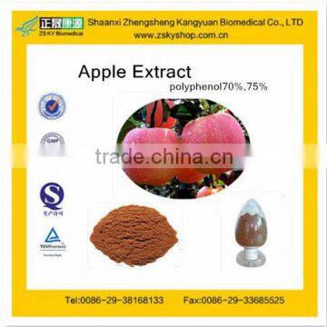 GMP manufacturer supply high quality Fruit Apple Concentrate Powder