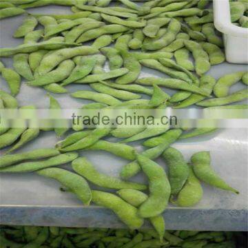 HACCP high quality IQF frozen green soy beans