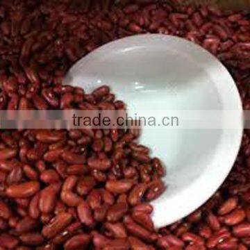 tin canned food red kidney beans