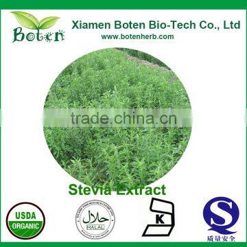 High Quality Stevia extract 90%-95%