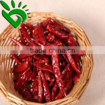 All Types of Chillies