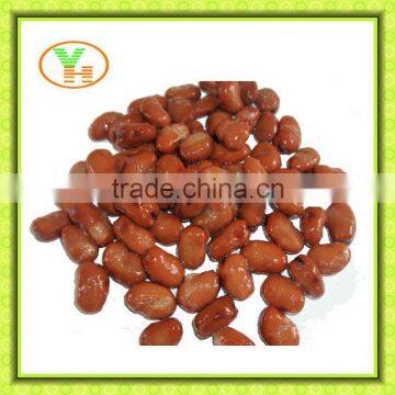 Canned Broad Beans for the Whole World,canned Beans in Tomato Sauce