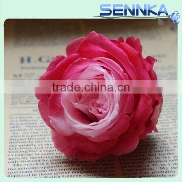 Natural preserved fresh rose wholesal flower Multi colored Preserved Roses