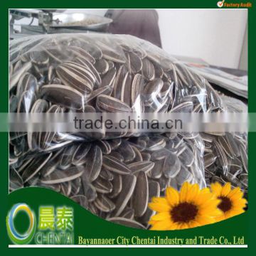 Dried White Sunflower seeds for sale