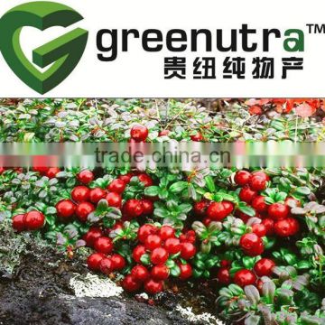 Lingonberry Extract