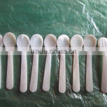 High quality spoon, seashell spoon safe for food made in Vietnam