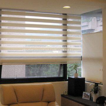 Blackout Zebra Blinds, Vision Blinds, Combi Blinds For Home Decor