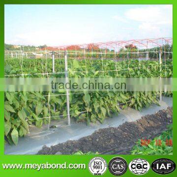 hdpe crop hanging support net for cucumber and bitter melon vegetables