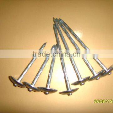 twist shank roofing nails/roofing nails with umbrella head(factory price)