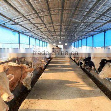 steel structure cow feed house