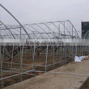 Plastic Film Greenhouse for Tomato photo-2