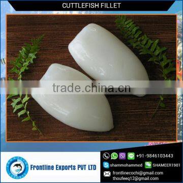 Certified Supplier of Frozen Cuttlefish Fillet photo-3