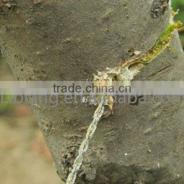 Multipurpose Outdoor Pocket Survival Tool photo-4