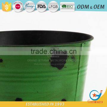 Garden Iron and Zinc Powder Coated Beautiful Flower Bucket Galvanized Buckets for Flowers