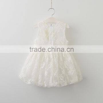 Summer New Style Princess Dress Lace Kids Clothes Girls Dresses Baby photo-5