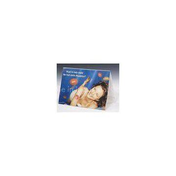 Desktop PVC Sign Holder Plastic Notice Holders 5\