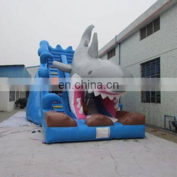 Giant Inflatable Water Slide Blue Inflatable Water Slide for Kids and Adults photo-6