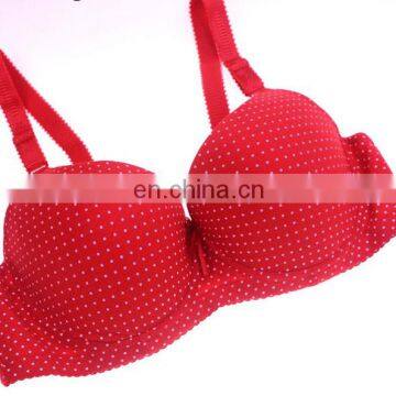 2016 New Arrival Sexy Woman Bra Plus Size