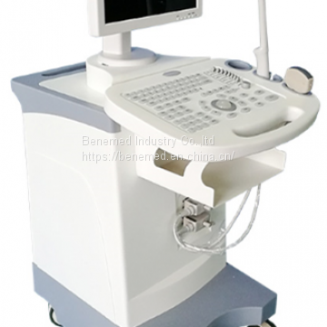 Trolly Black and whit Ultrasound Scanner BW-5Plus