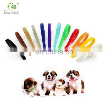 12 colors puppy ID collar, whelp collar, pet leash