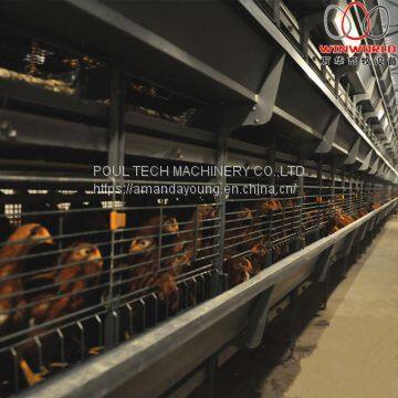 Salvador Poultry Farming Battery Small Chicken Cage & Poultry Cage with Automatic Feeding Machine Used in Brooding Room