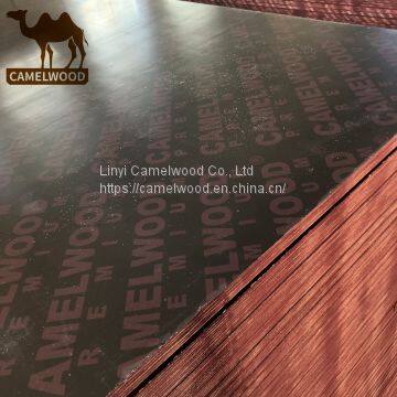 Best price hot sales film faced plywood for construction