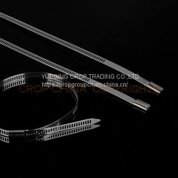 Adjustable SS304 Stainless Steel Strap / Band photo-2