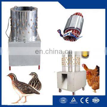 98% Unhairing Rate Chicken Plucking Machine Chicken Killing Machine For Sale photo-3