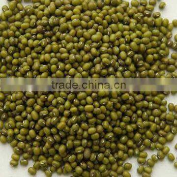 Mung Beans photo-2