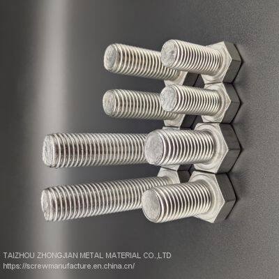 Stainless Steel Hex Bolt M8*105