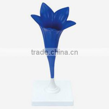 Cornflower flower model