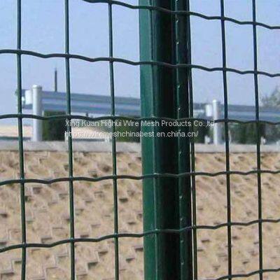 Welded Galvanized PVC Coated Fence Cheap Price