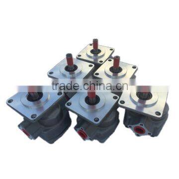 China hydraulic gear motor