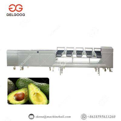 Avocado Fruit Washing Grading And Waxing Processing Line Avocado Washing Machine photo-2