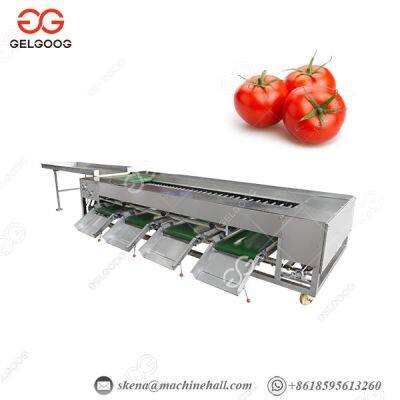 Widely Used Blueberry Cherry Tomato Onion Grading Sorter Machine