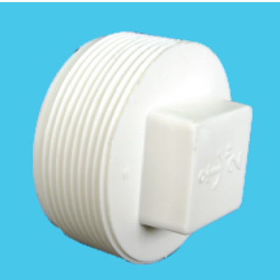 Dental plug - citrus aurantium