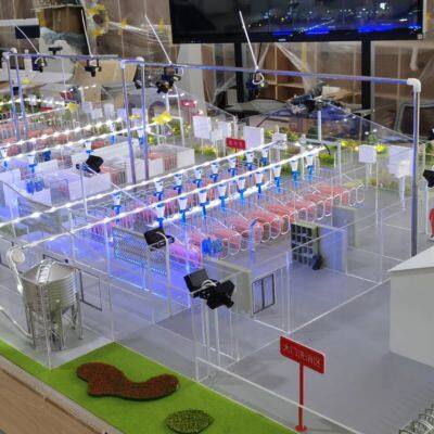 Custom Factory for Breeding Sand Table Model photo-4