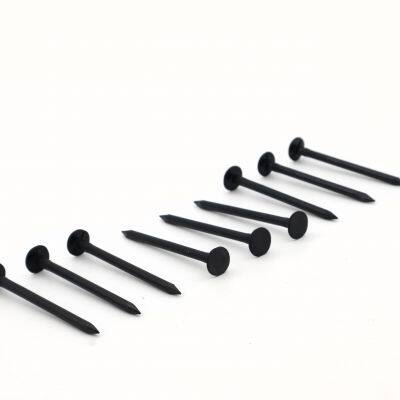 Black Common Nails China Manufacturer - Ideal for Roofing and Exterior Woodwork photo-5