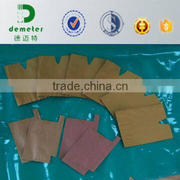 China Made Factory Price Kraft Fruit Growing Paper Bag photo-5