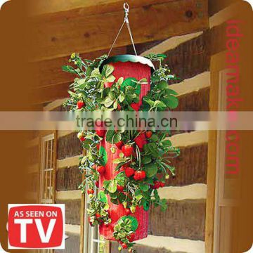 Topsy Topside Down Turvy Strawberry Planter As Seen On TV