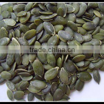 Dark Green Pumpkin Kernel