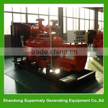 Iran industrial natural gas generator 800kva for sale!