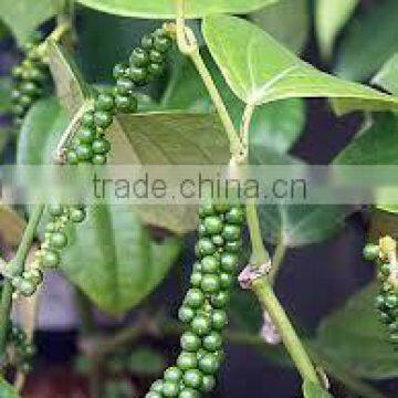 Suvimie Ceylon Black Pepper Corns photo-5