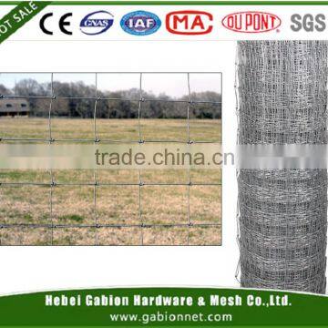 Galvanized cattle field fence/sheep fence /animal fence