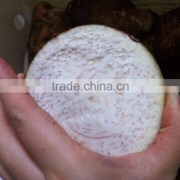 Fresh Chinese Taro for Sale photo-4