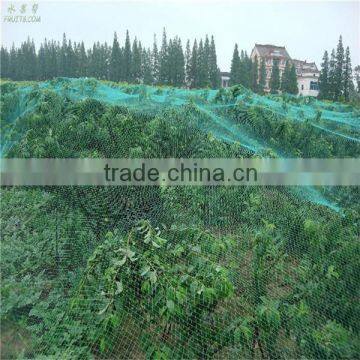 Many Kinds of Anti-hail Nets photo-4
