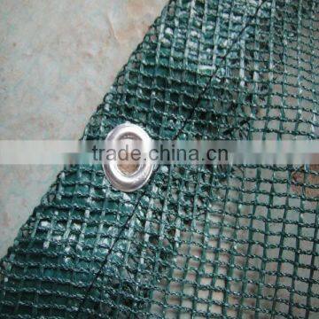 collection olives nets