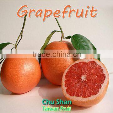 2016 Hot sale fresh Grapefruit