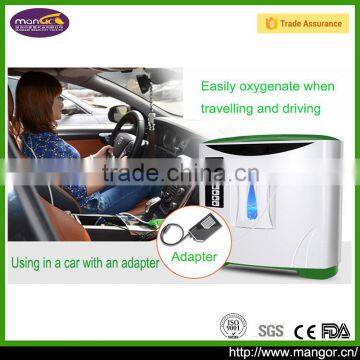 6L 3L 1Liter Home Car AC Electric 100V-240V Health Care Patient Breathing With Portable Oxygen Concentrator At Home