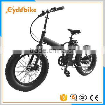 High Performance Electric Bike 48v 500w Ebike
